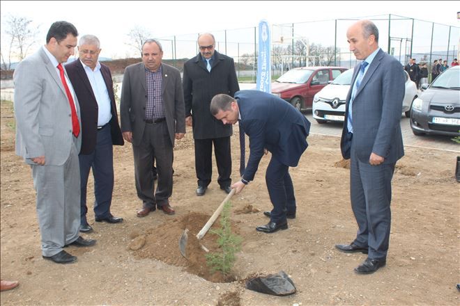 15 TEMMUZ ŞEHİTLERİ, HATIRA ORMANI İLE ANILACAK