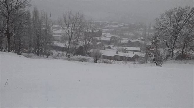 Yenice Beyaza Büründü