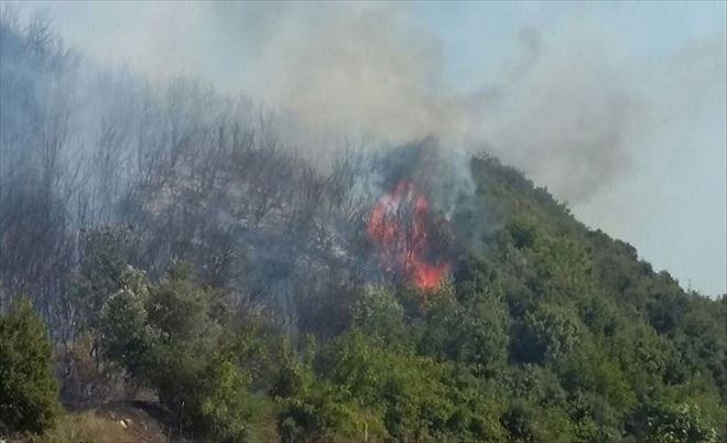 Çanakkale´de İkinci Orman Yangını