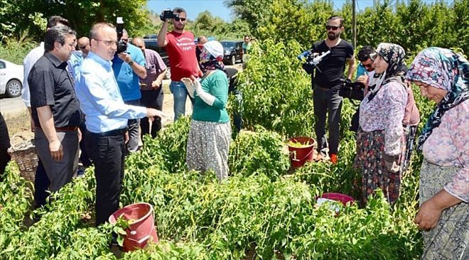 Üreticilerin Kredi Borçları Ertelendi