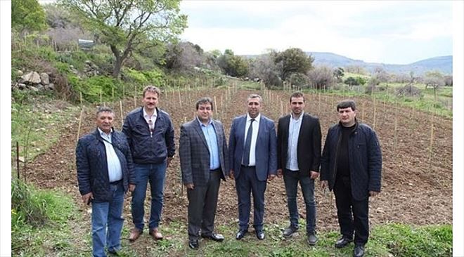 Gökçeada Arısının Islahı Ve Korunması Toplantısı Düzenlendi