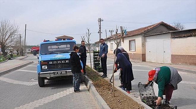 Gümüşçay Yaza Hazırlanıyor