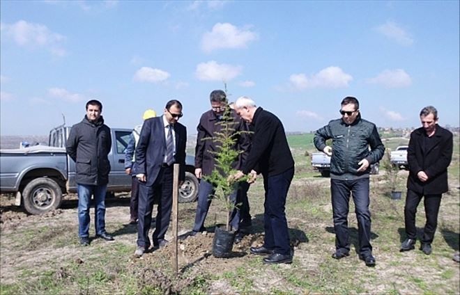 Çan´da Eski Kömür Madeni Sahası Islah Edildi