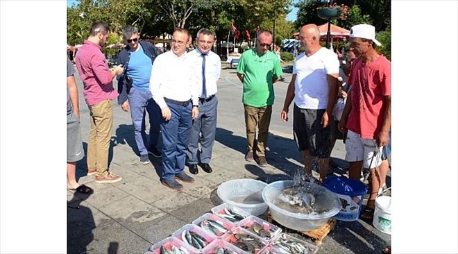 Çanakkale Balık İhracatında Önemli Noktada