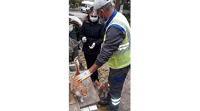 CAN DOSTLAR DÜZENLİ SAĞLIK KONTROLLERİNDEN GEÇİYOR