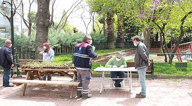 FİDE DAĞITIMLARI BAŞLADI