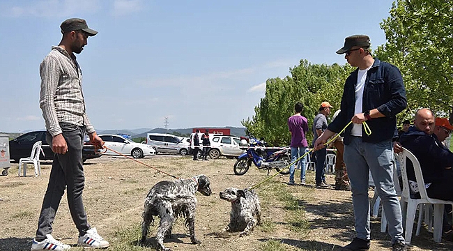 ÇAN ERENLER AVCILAR VE ATICILIK DERNEĞİ AV KÖPEĞİ YARIŞMASI YAPILDI