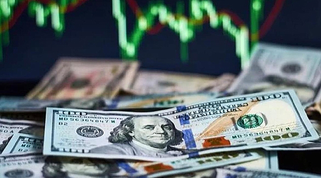 DOLAR TÜM ZAMANLARIN EN YÜKSEK SEVİYESİNİ GÖRDÜ!