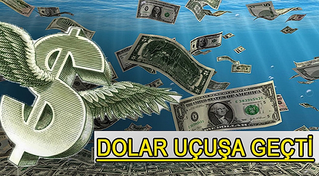 DOLAR UÇUŞA GEÇTİ