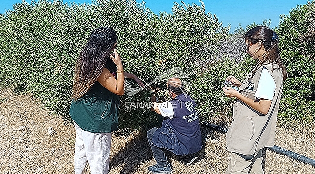 AKILLI TARIM TEKNOLOJİLERİ UYGULAMALARI YAYGINLAŞIYOR