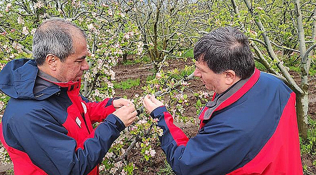 ZİRAİ DON ZARARI HASAR TESPİT ÇALIŞMALARI ARALIKSIZ DEVAM EDİYOR