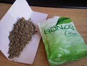 Bonzai Bir Can Daha Aldı